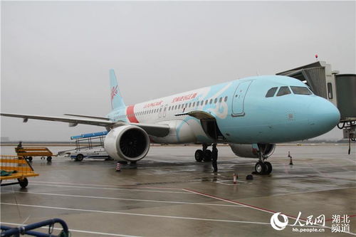 浙江6架包机运载453名医护人员和医用设备驰援武汉